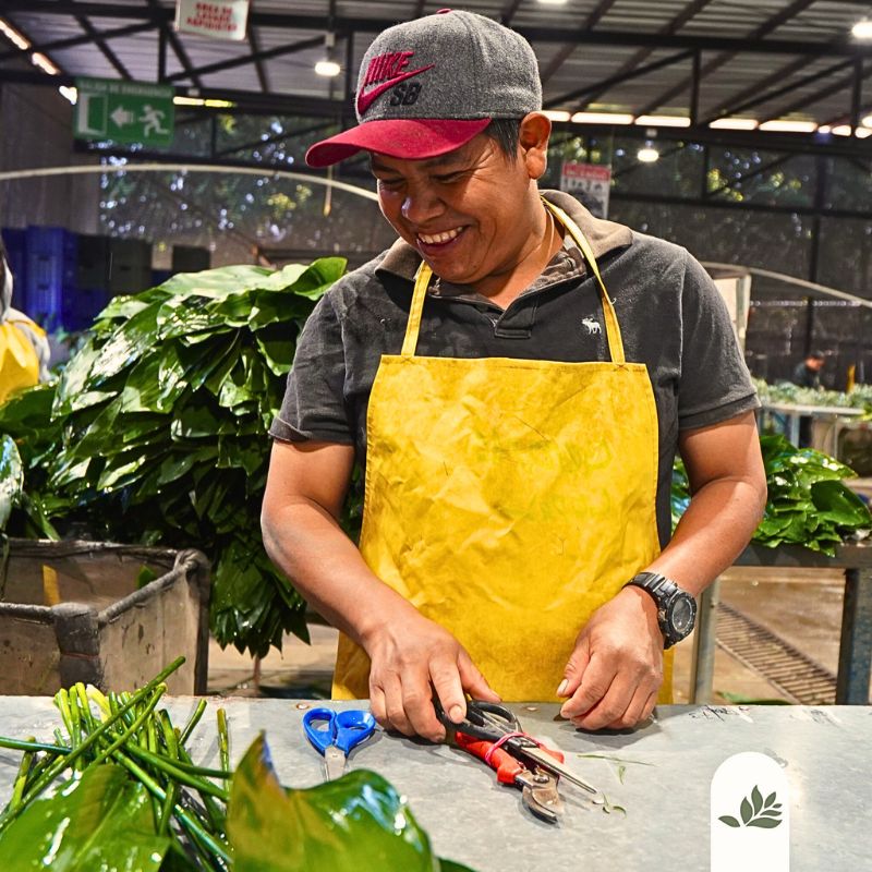 Worker at packhouse at Tak Global