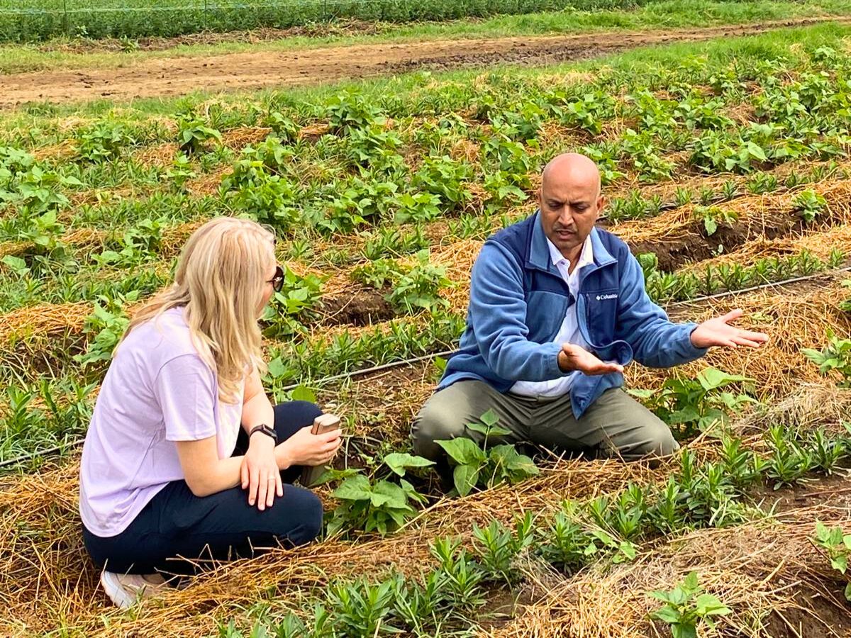 Sunfloritech Ltd Shows How to Cultivate Sustainability Through Soil Health Management