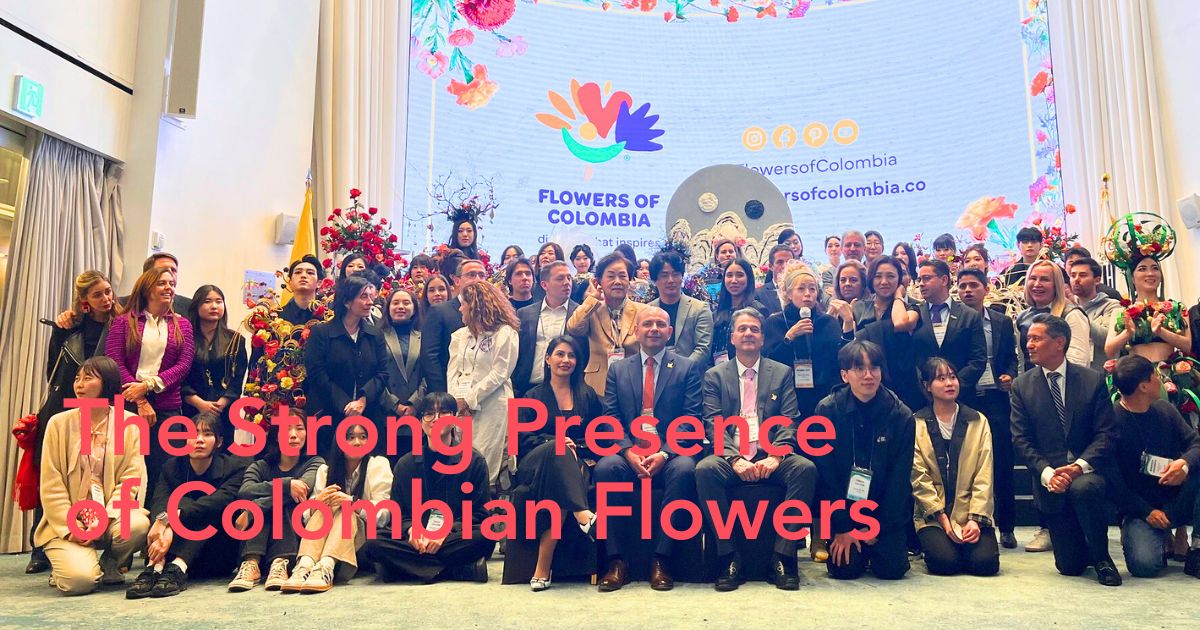 Flowers of Colombia in Korea