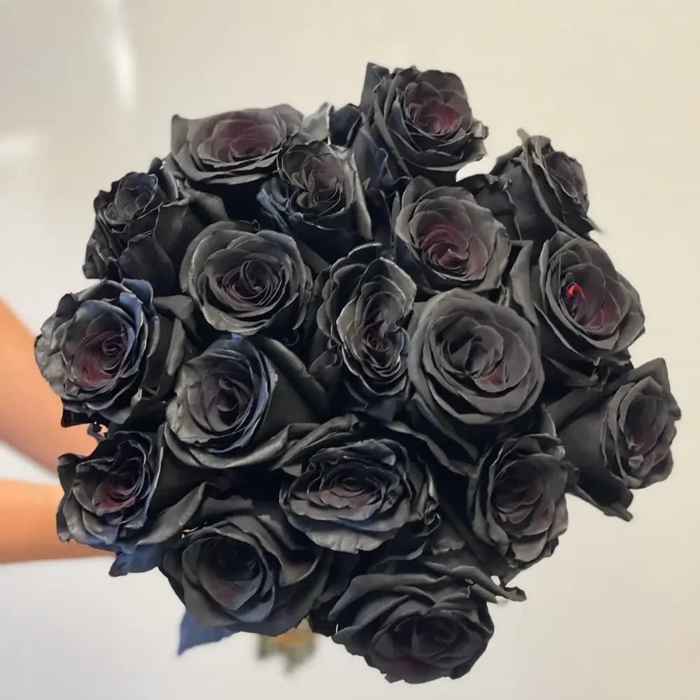 24 stems of black roses elegantly gathered in a bouquet create a mysterious and dramatic look, perfect for special occasions or as a symbol of uniqueness