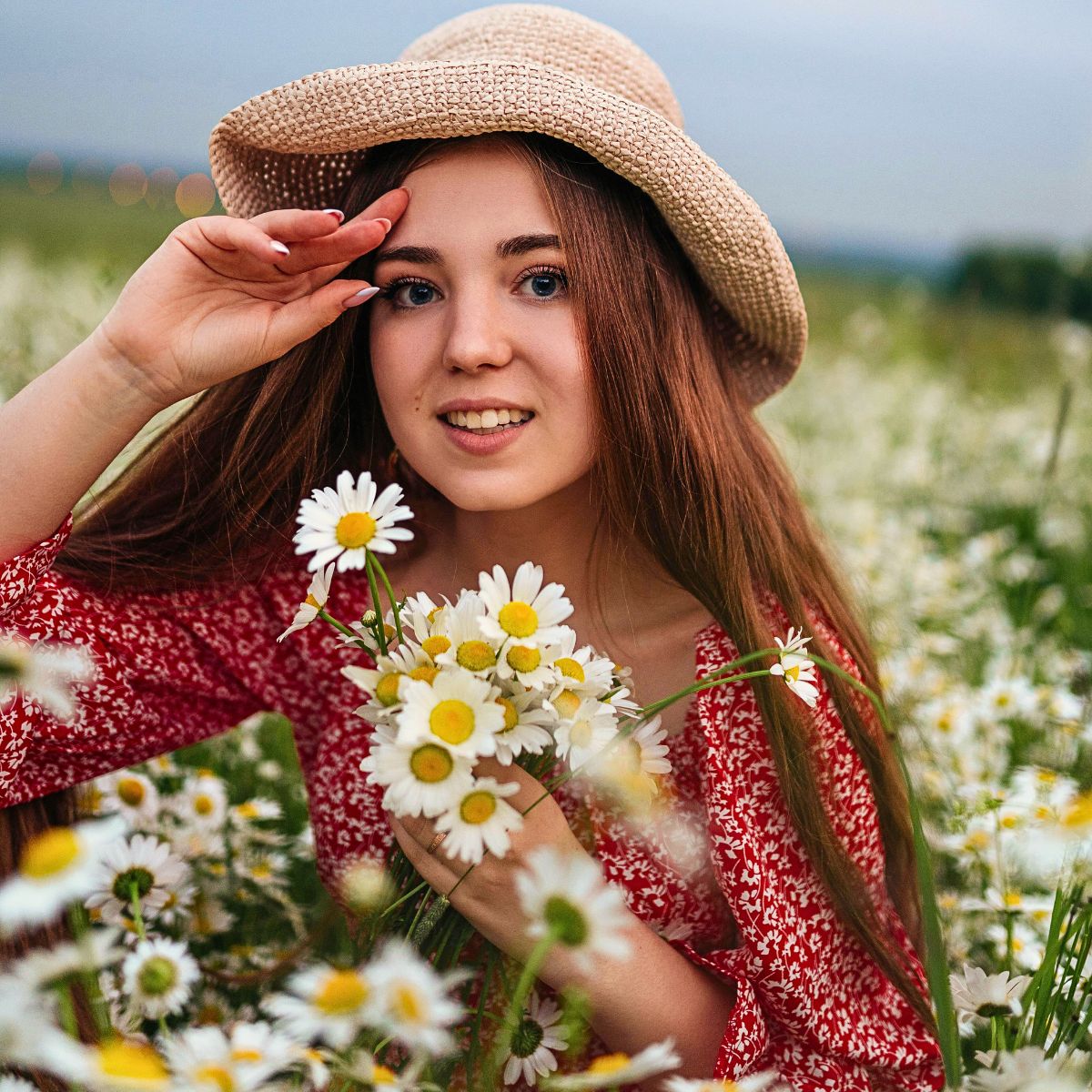 Daisy Flower Meaning