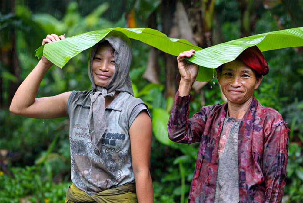 Banana Leaf Umbrellas