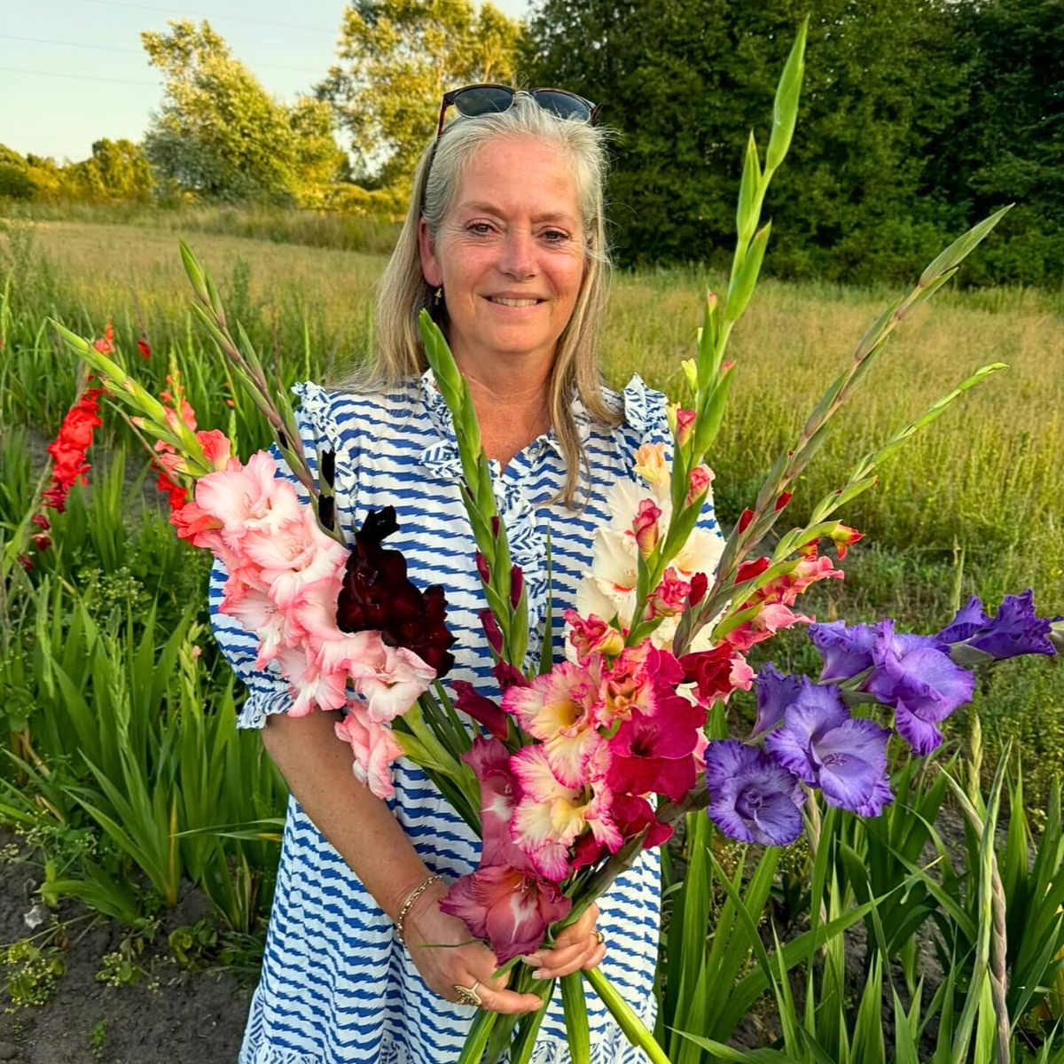 Gladiolus Flower Meaning