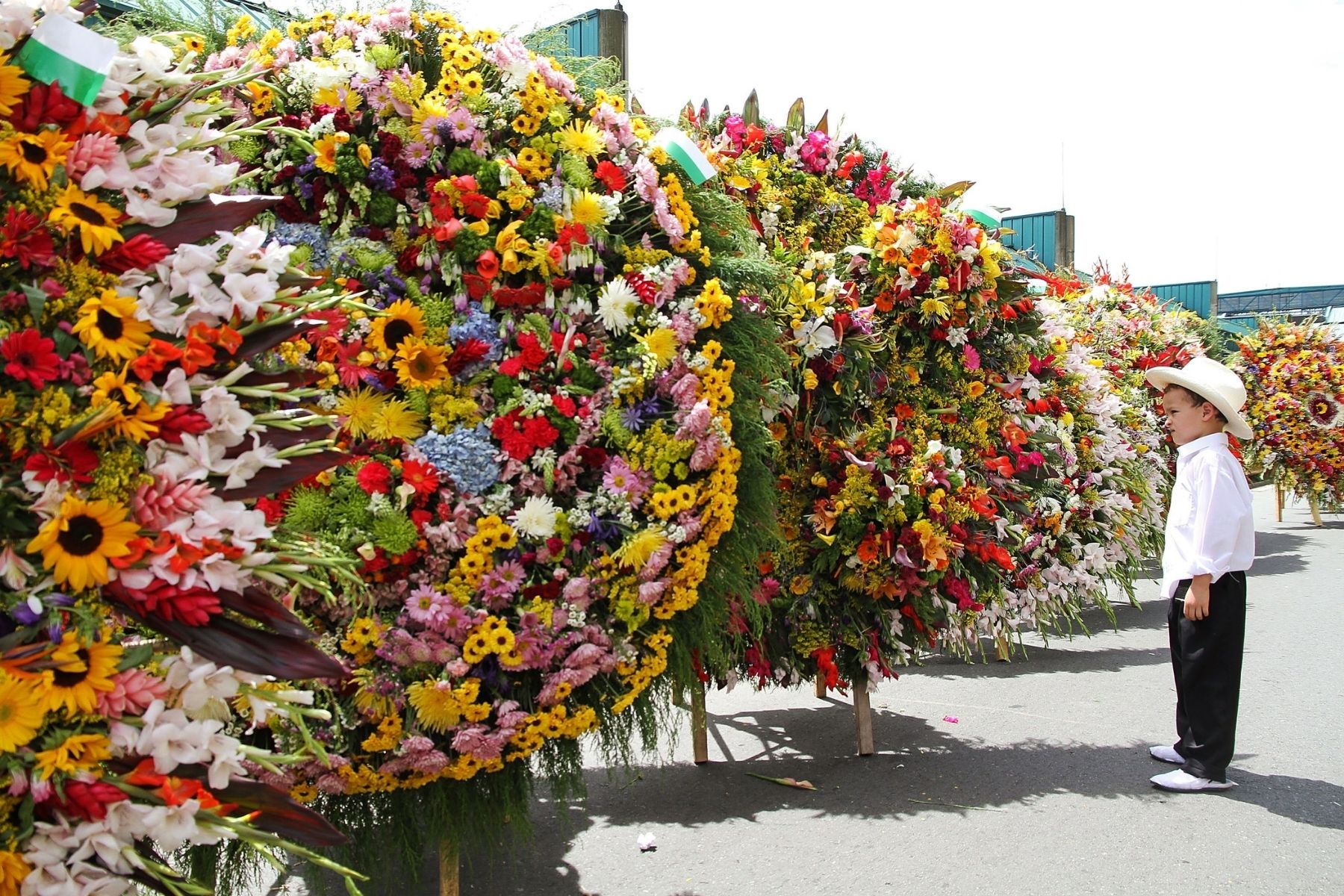 Exploring Feria de las Flores: Colombia's Incredible Flower