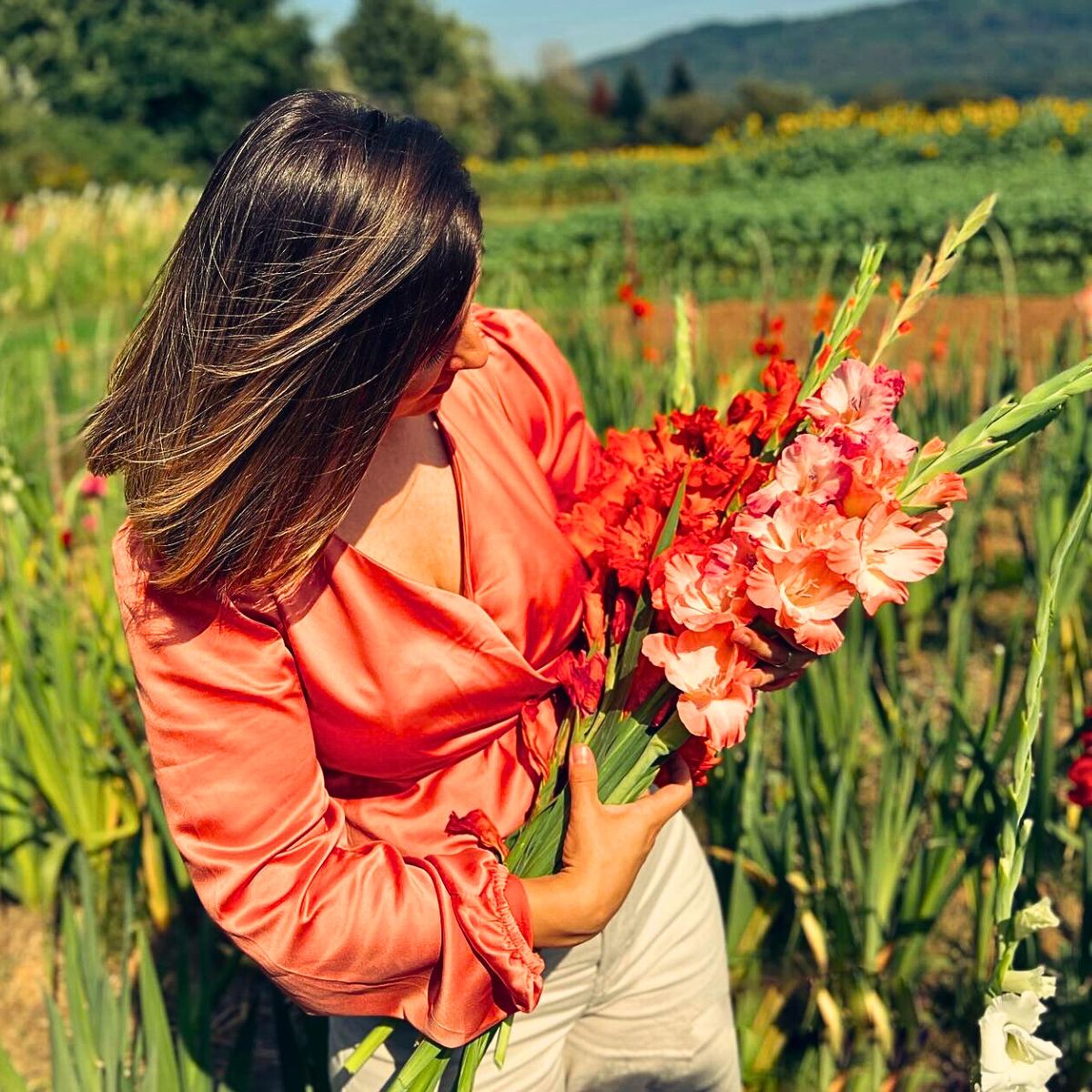 Gladiolus Flower Meaning