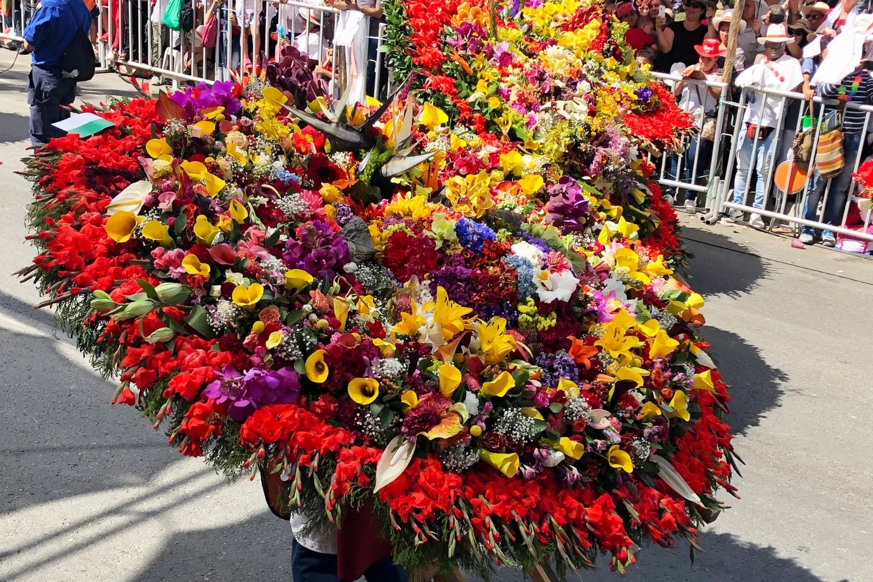 Feria de las Flores: Inside Medellín's Stunning Flower Festival