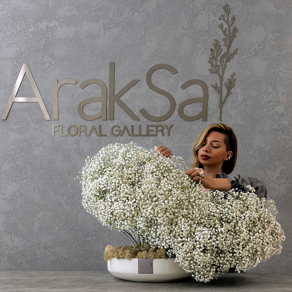 Danziger Gypsophila XLence white by Araks Sarkisyan