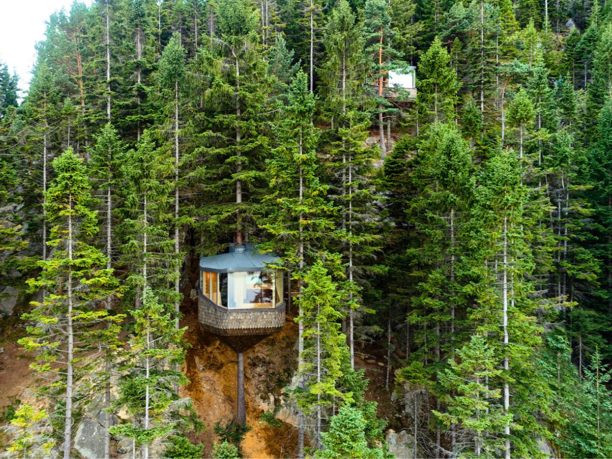 The incredible view of green trees from the cabins