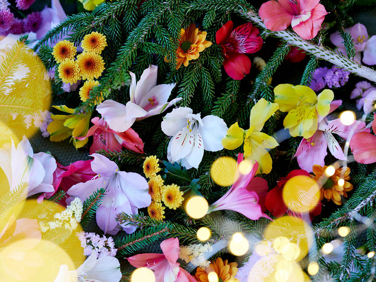 Royal Van Zantens Christmas decoration with Alstroemerias