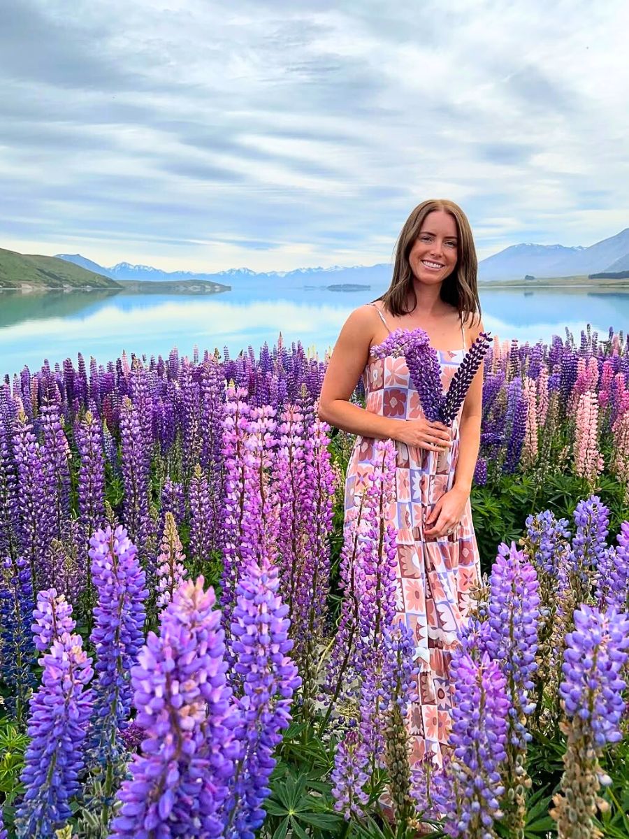 Seeing Lupins in New Zealand