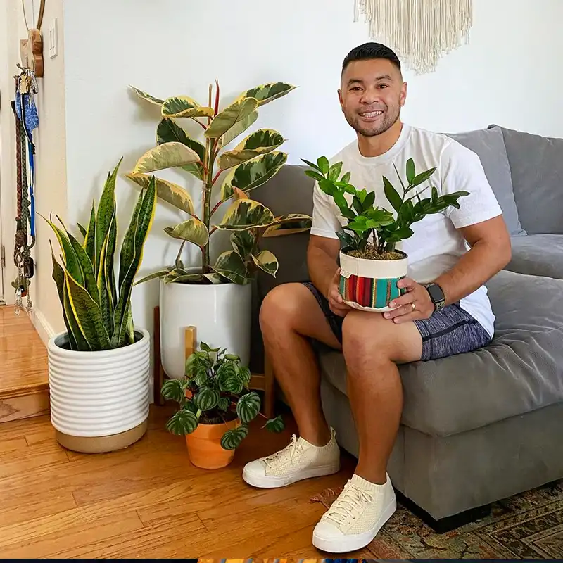 Top Indoor Plants for Student Dorms feature