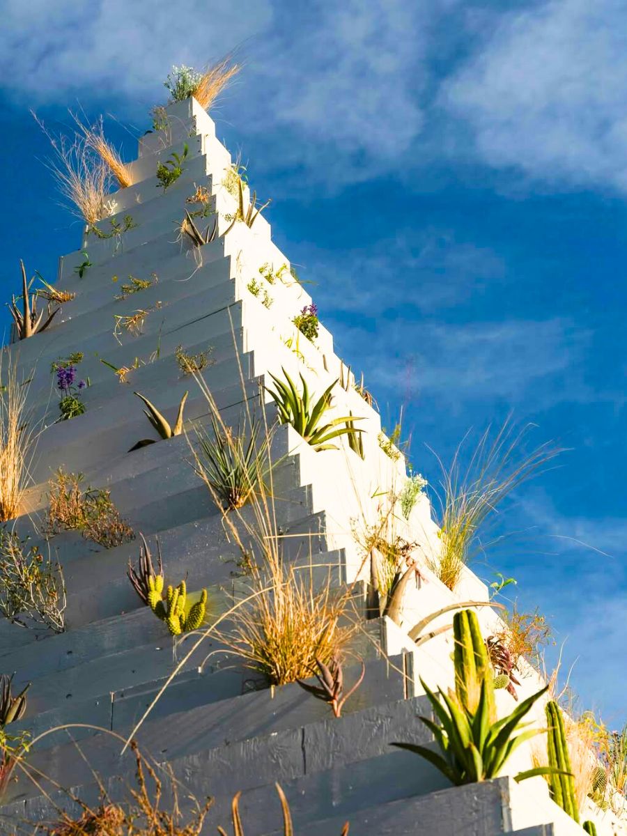 Closeup of sprouting plants and vegetation on the pyramid