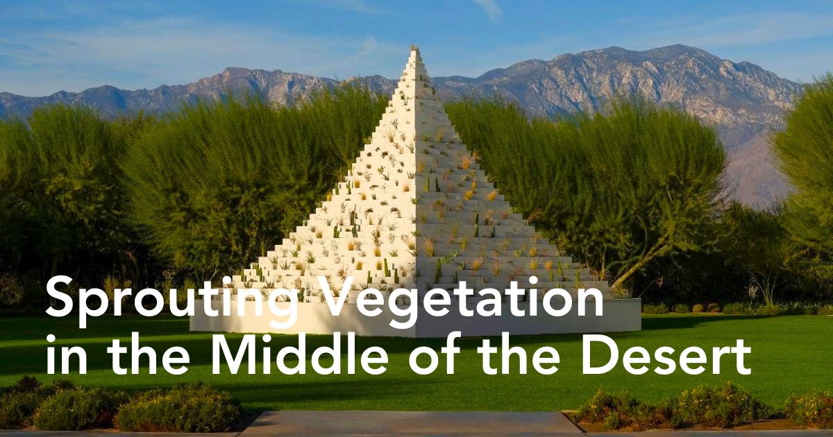 Sprouting vegetation on the pyramid