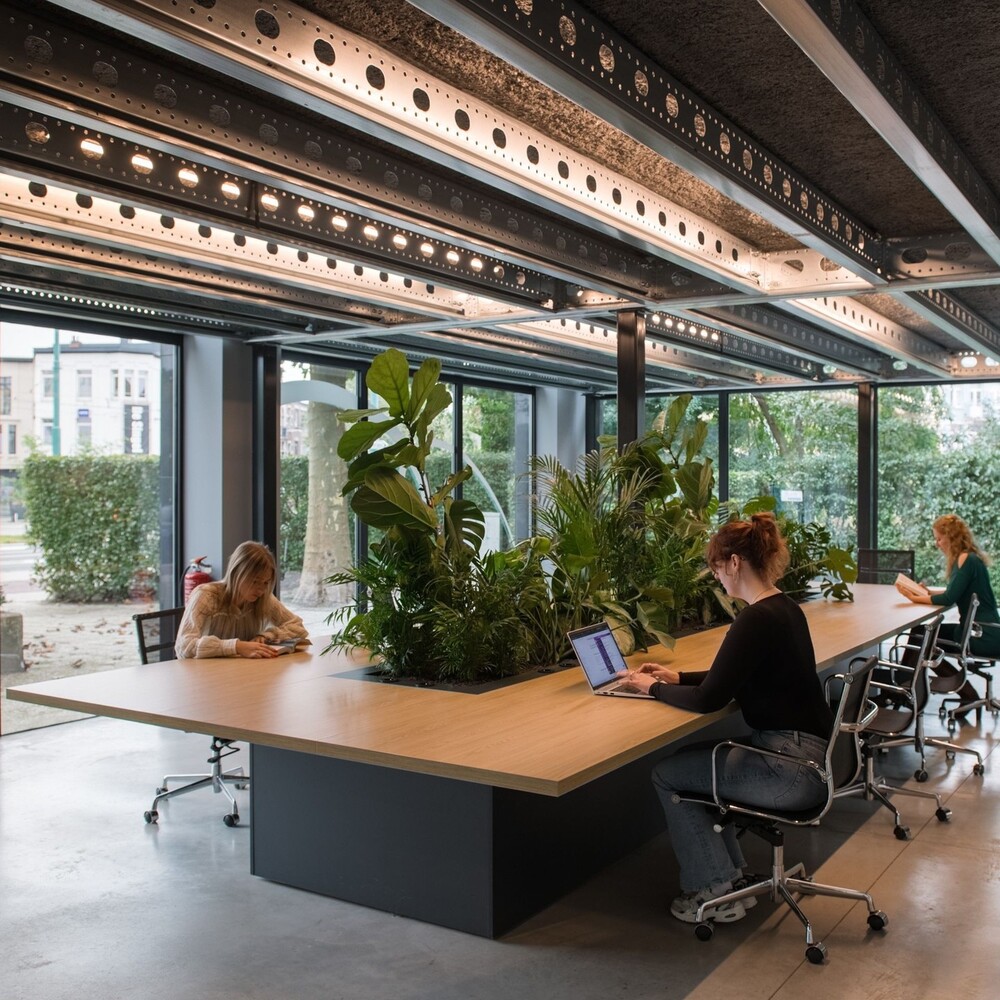 Working space with green plants