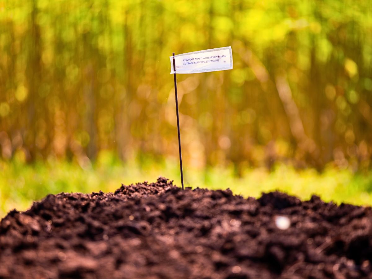 How Marginpar Nurtures Healthy Soils for Sustainable Flowers