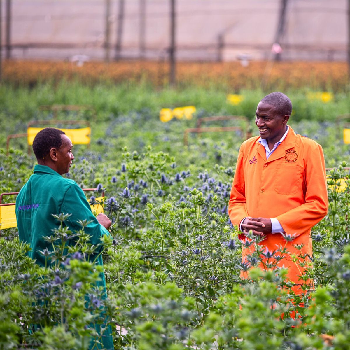 How Marginpar Nurtures Healthy Soils for Sustainable Flowers