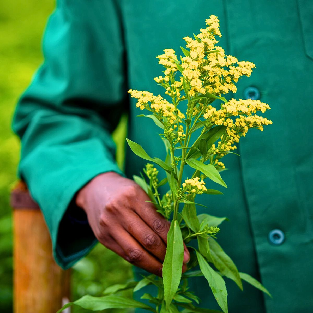 Nurturing Healthy Soil for Sustainable Flowers, Marginpar’s Way