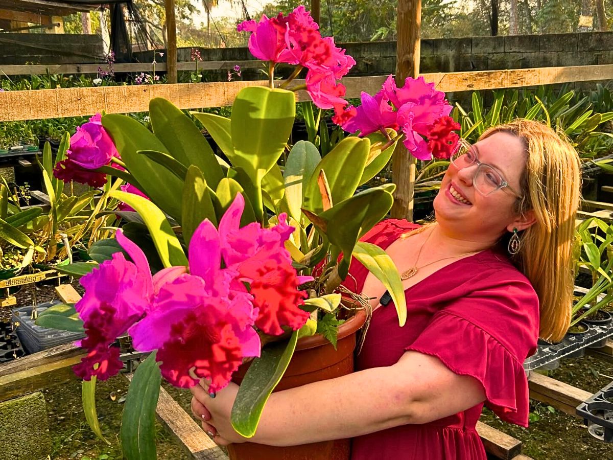 Cattleya Flower Meaning 