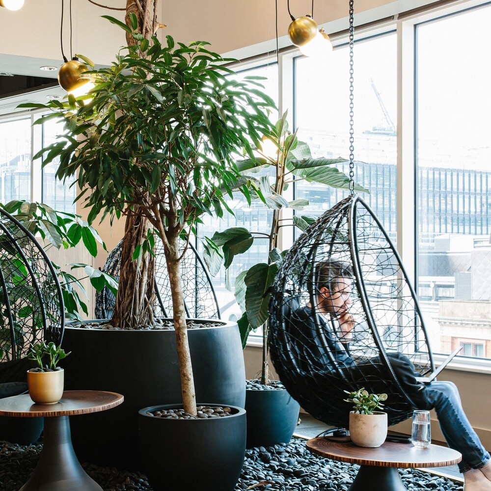 Men working near indoor plant