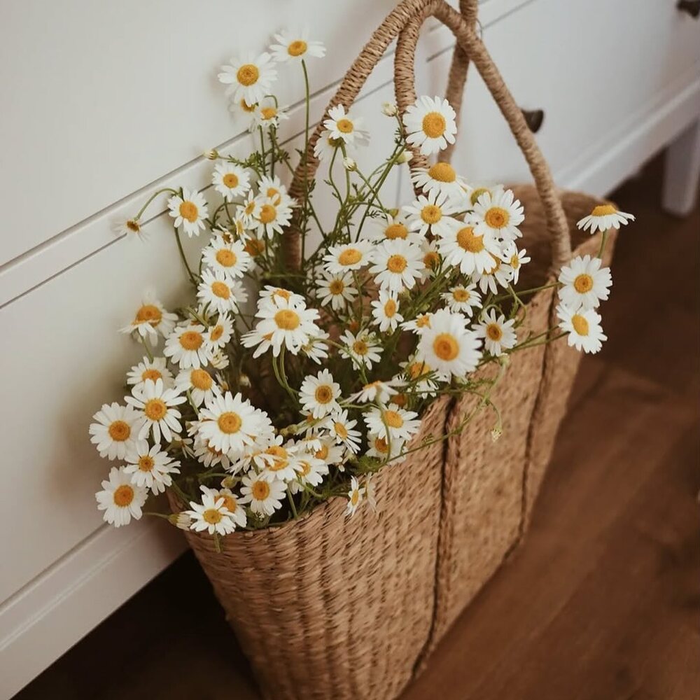 bucket of white flowers