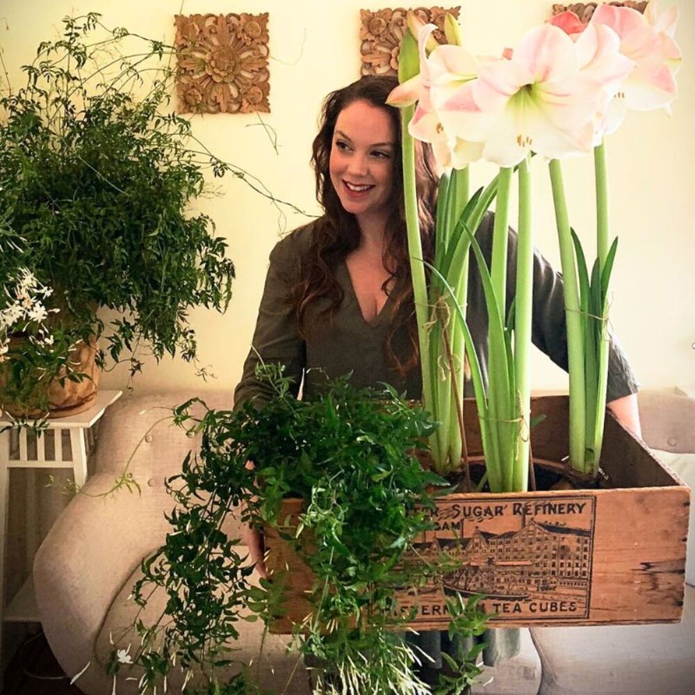 Lady with indoor flower plant