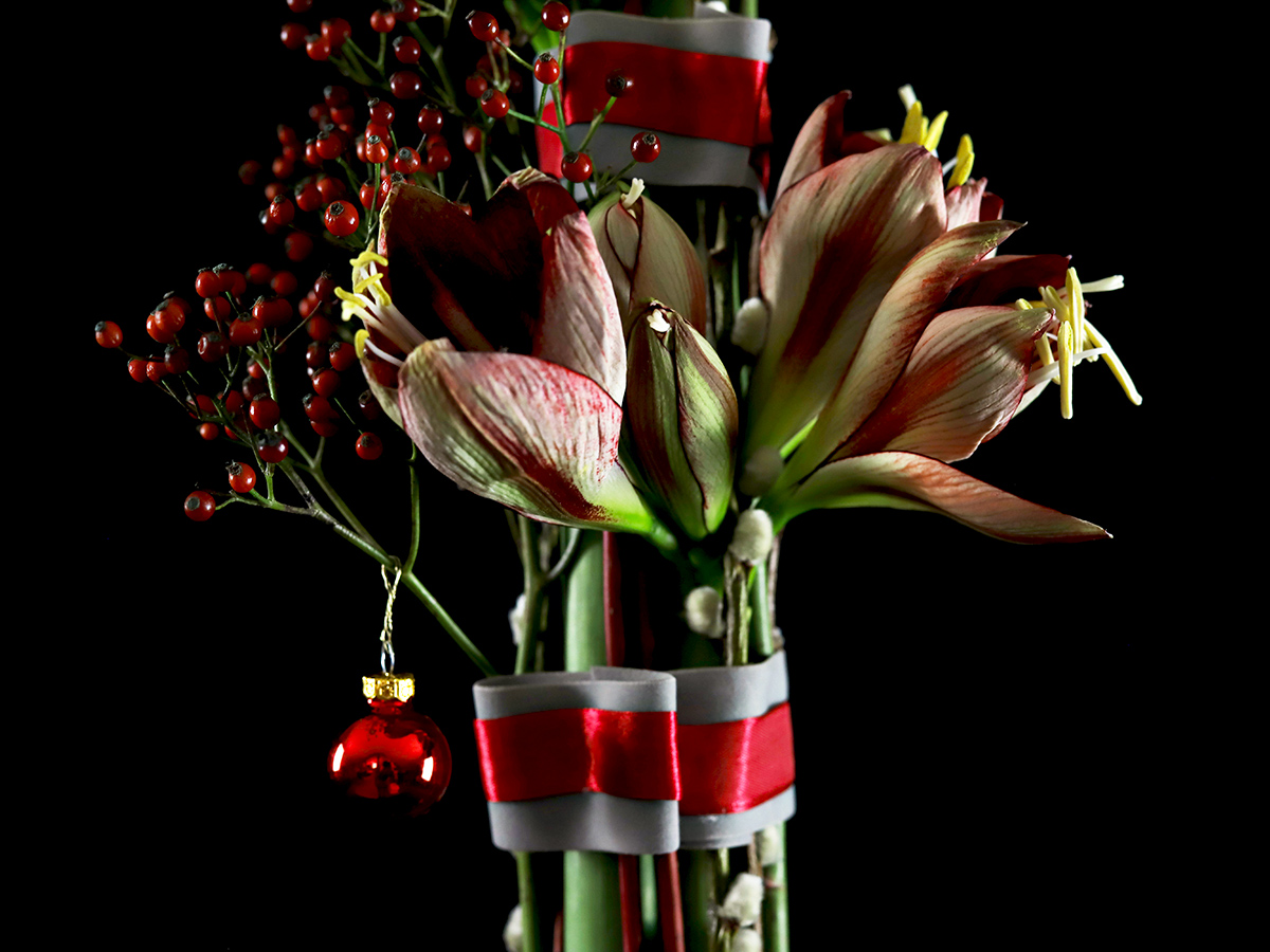 Standing Amaryllis design by Gaetan Jacquet