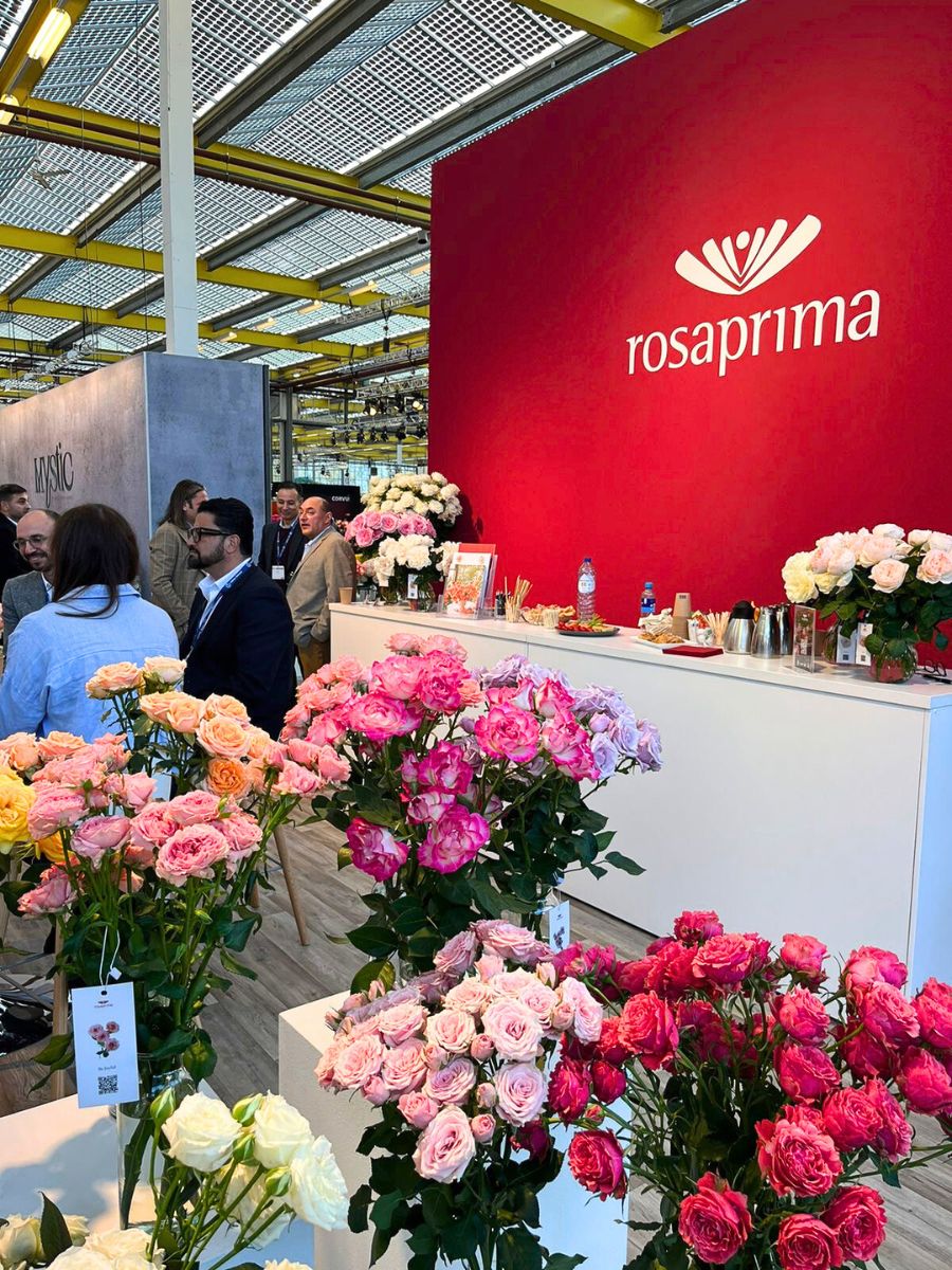 Rosaprima booth at IFTF