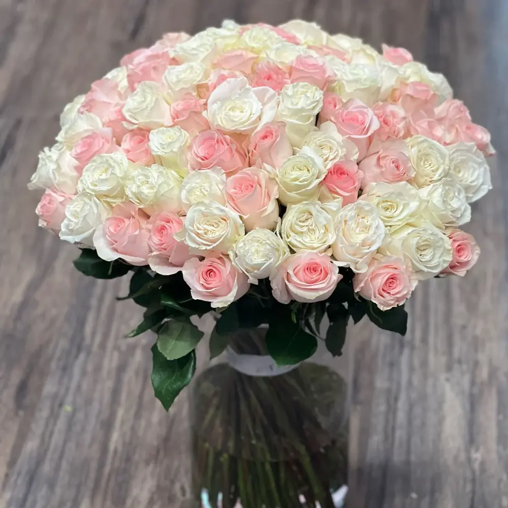 75 white and pink roses beautifully arranged in a vase create an elegant and romantic bouquet, perfect for interior decoration or as a gift for a special occasion