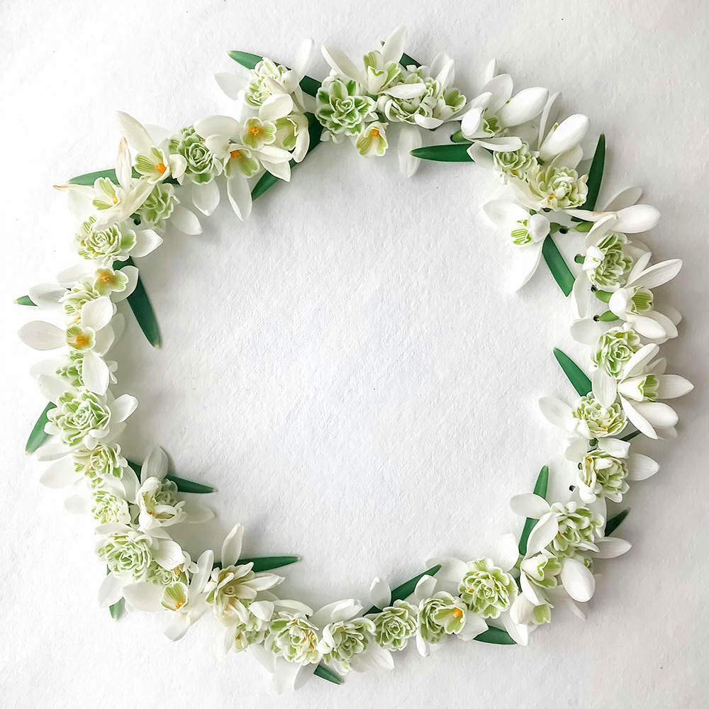 Snowdrops wreath by Agnese Lunecka