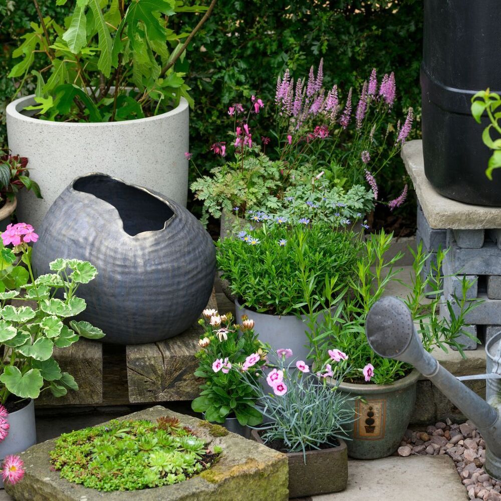 proper gardening area with flowers pot