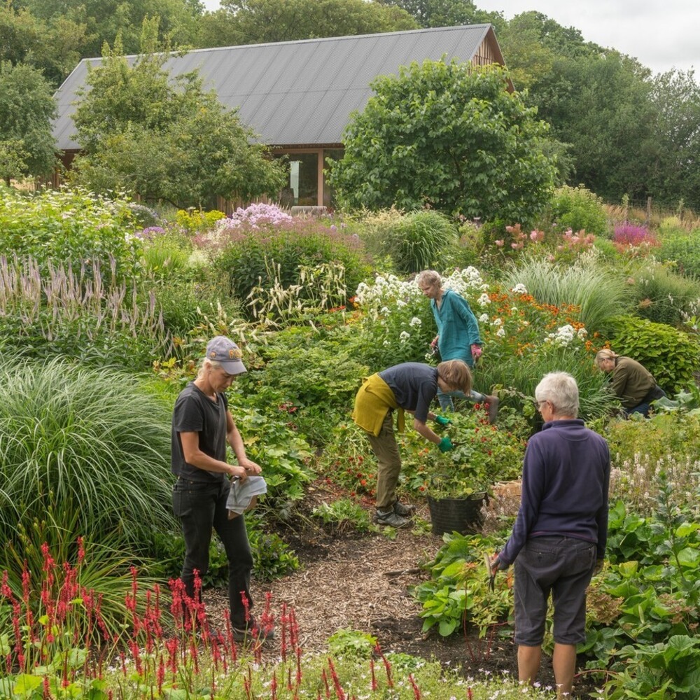 native plant gardening by people