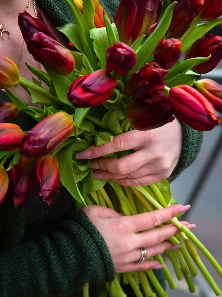 Most Romantic Flowers for Valentine's Day