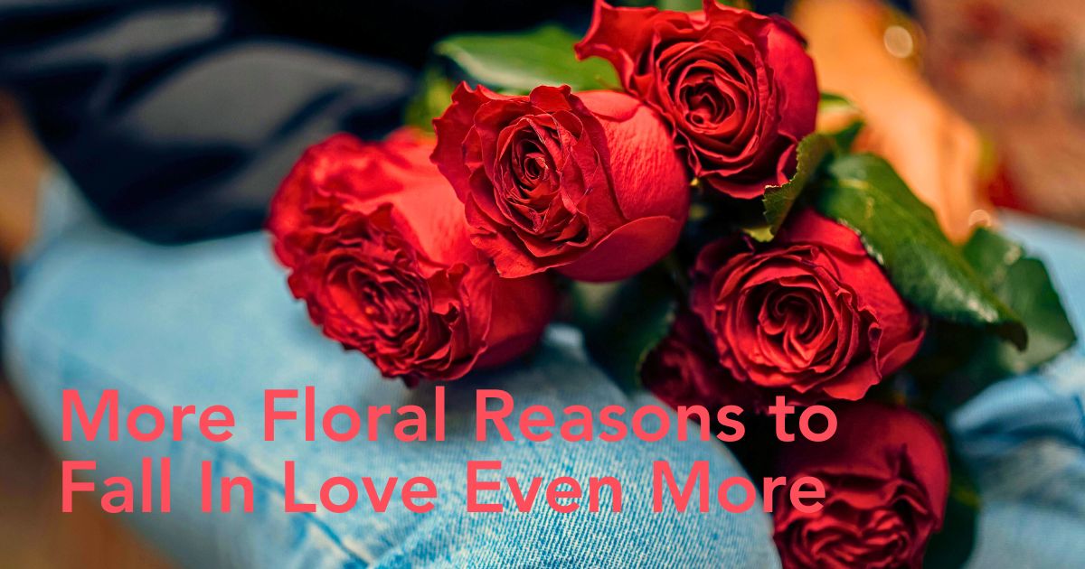 10 of the Most Romantic Flowers for Valentine's Day