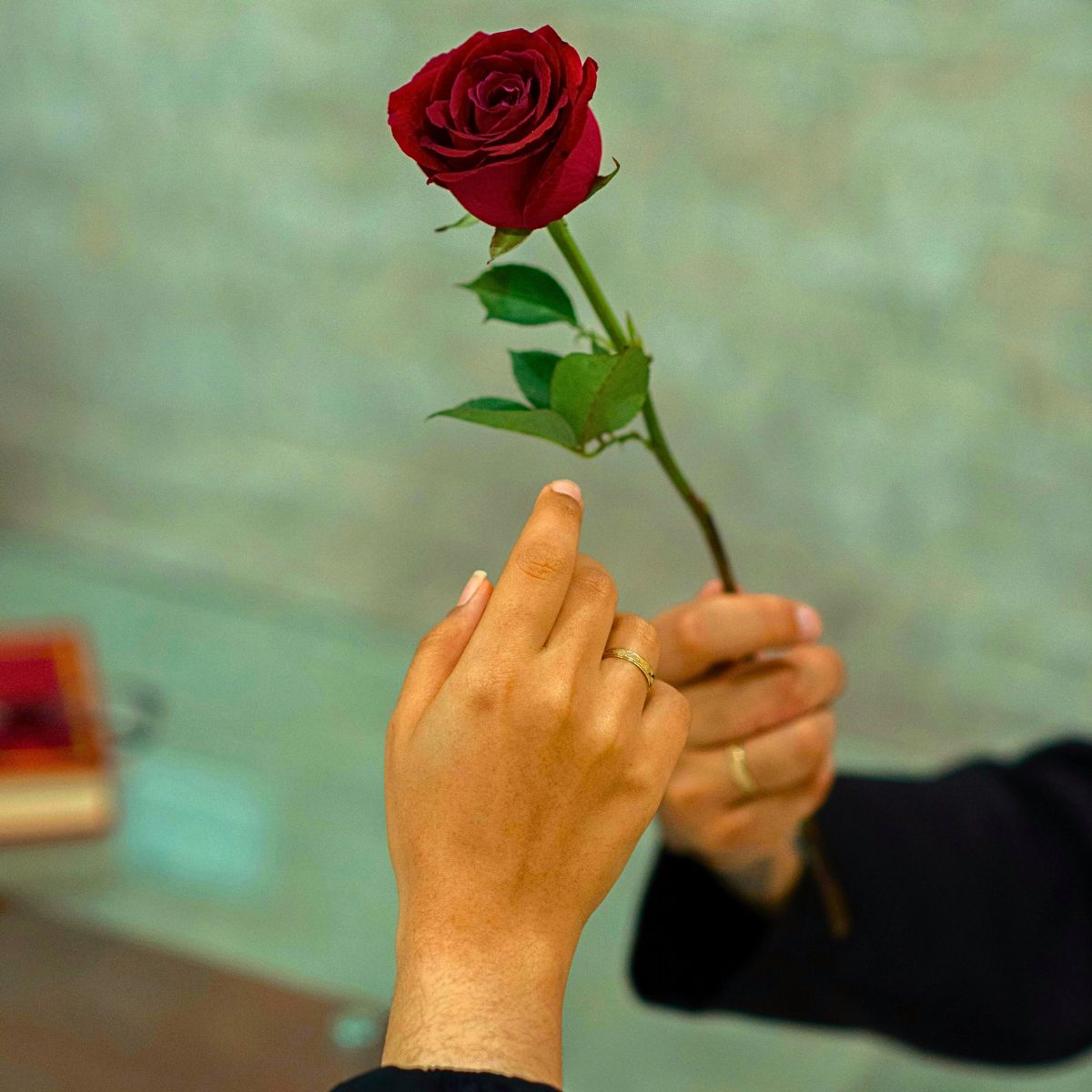 The Meaning and Popularity of Red Roses on Valentine's Day