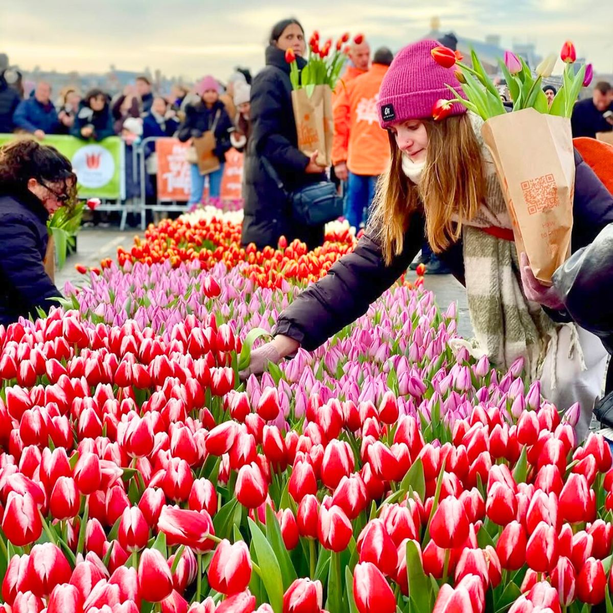 Picking up tulips in Amsterdam