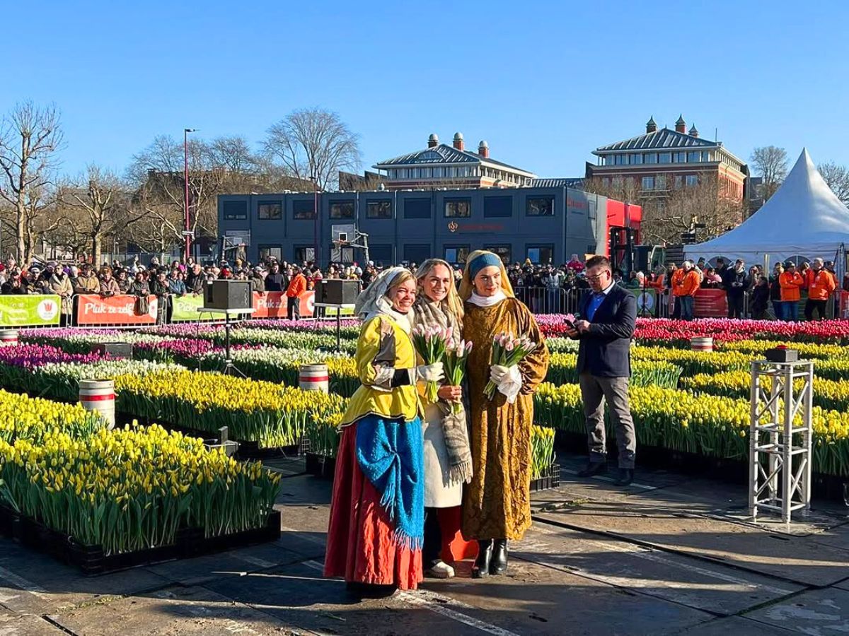 Dutch tradition National Tulip Day