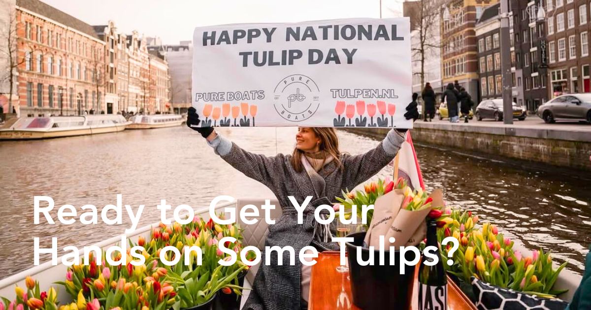 Love for tulips