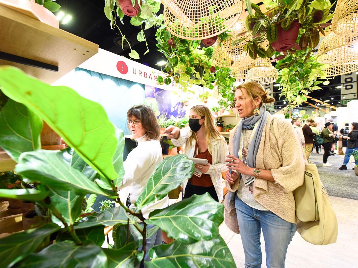 Green spaces all around at the Tropical Expo