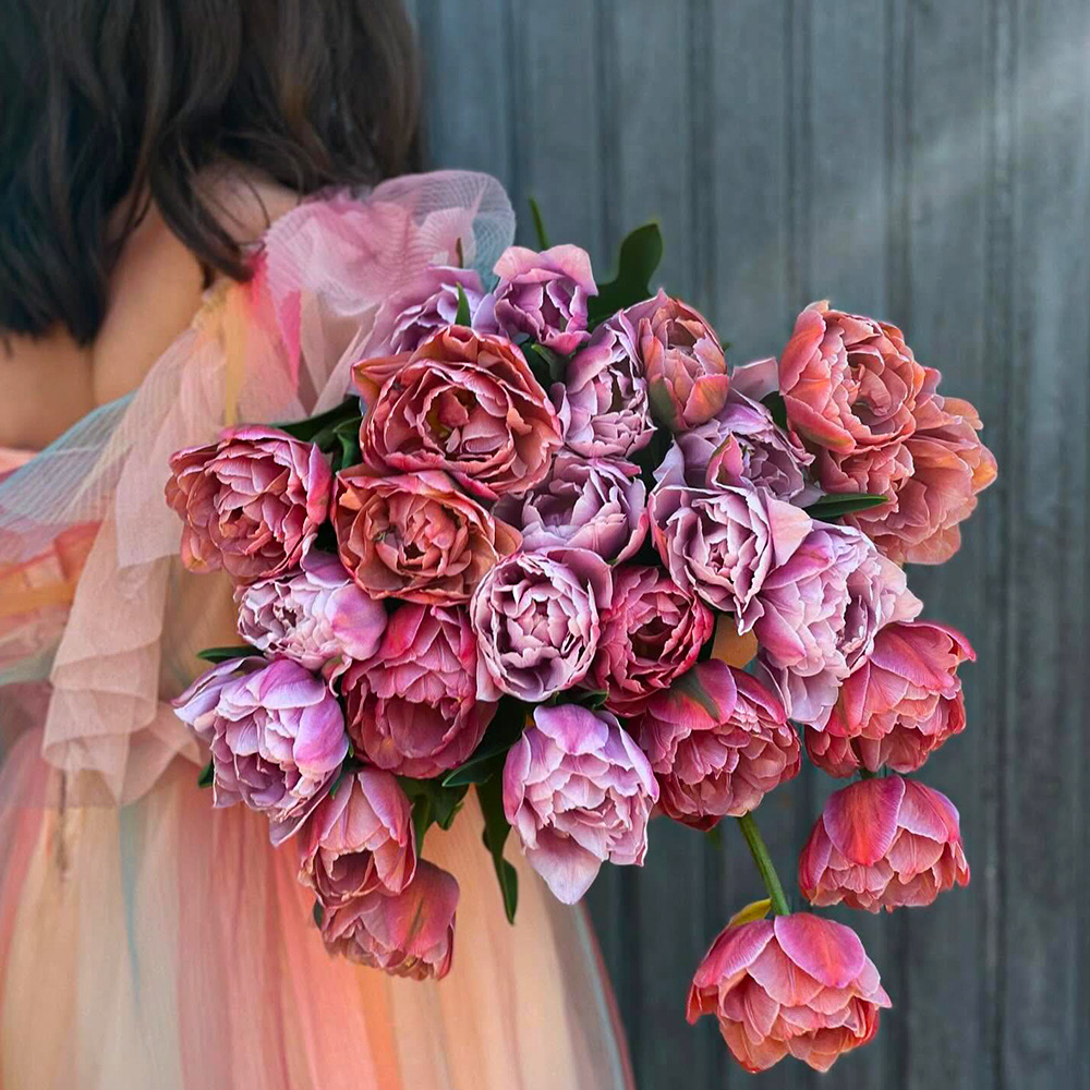 Model carrying light and dark pink tulips