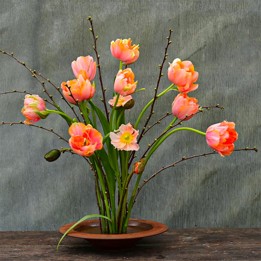 Pink bending tulips in a vase