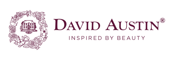 David Austin Logo