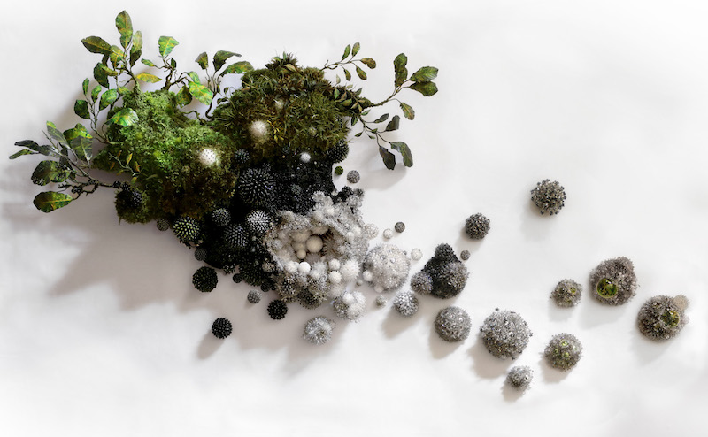 Amy Gross Creates Hand-Crafted Sculptures of the Natural World Botanical Art