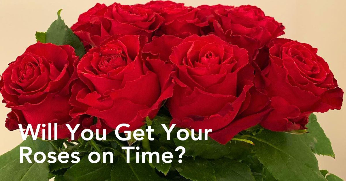 Does Lack of Air Freight Still Hamper Valentine’s and Women’s Day Rose Delivery?