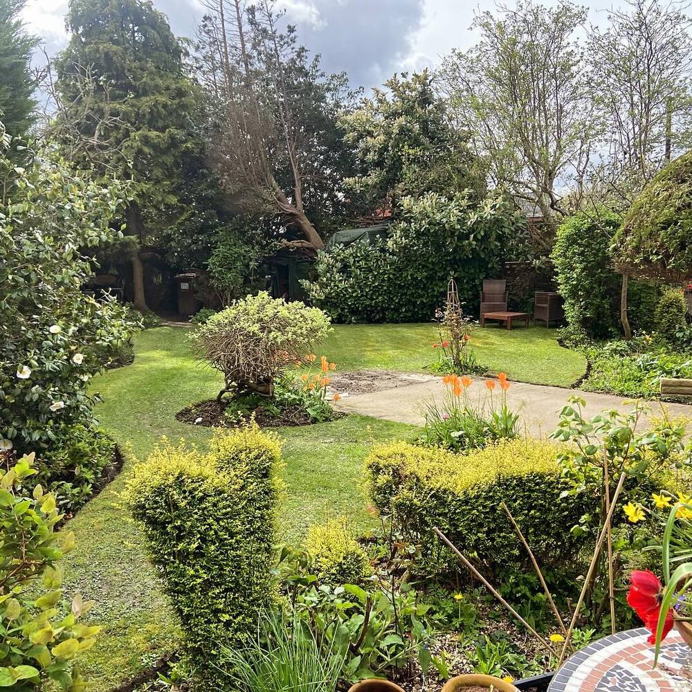 Gardening space with green plant