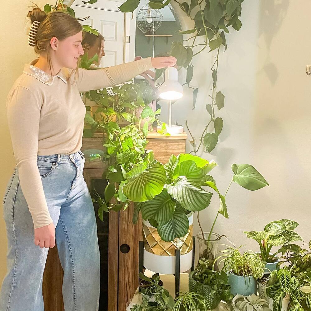 lady standing near indoor plant space