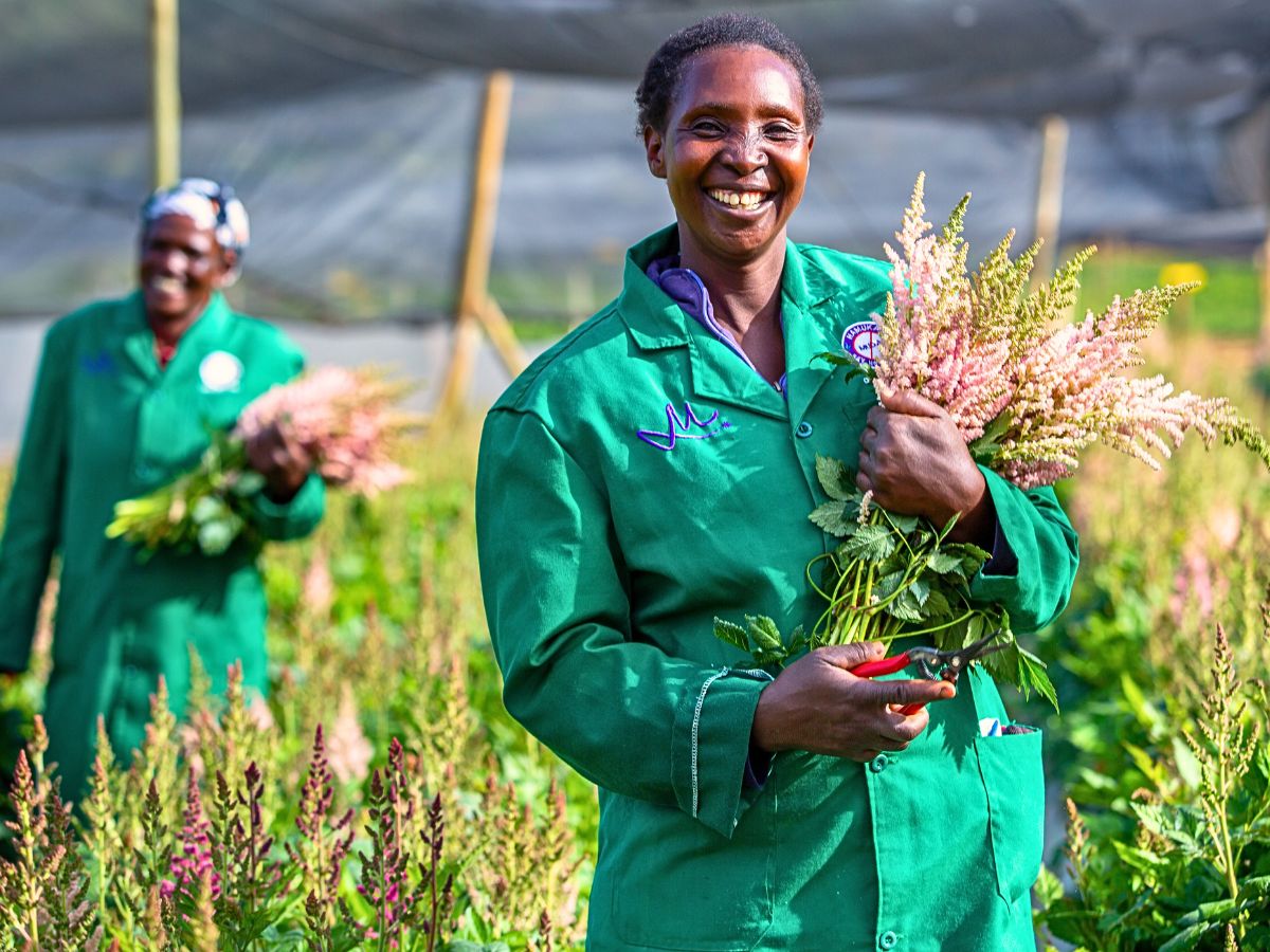 Sustainability Defined - Understanding the Meaning of This Concept in Floriculture