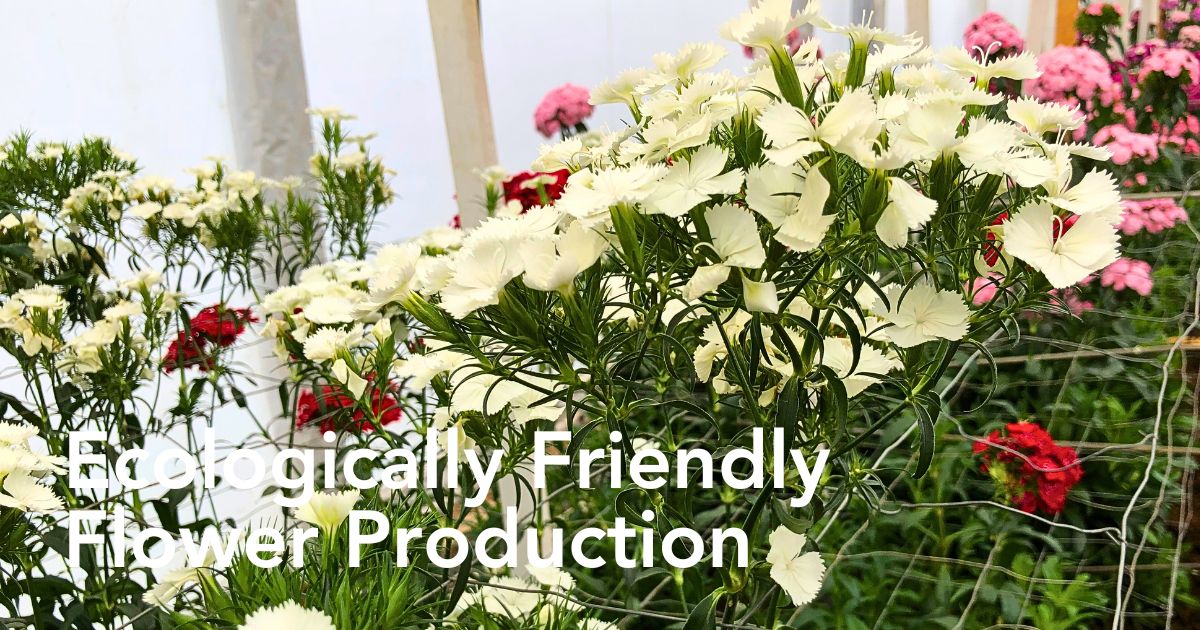 Understanding the Meaning of the Concept of Sustainability in Floriculture