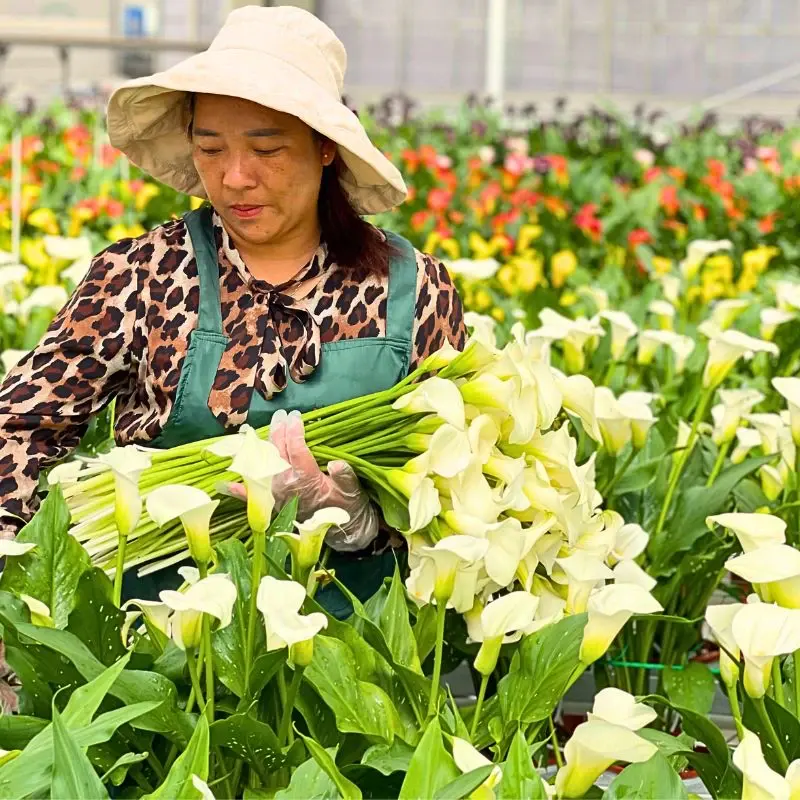 Understanding the Meaning of the Concept of Sustainability in Floriculture