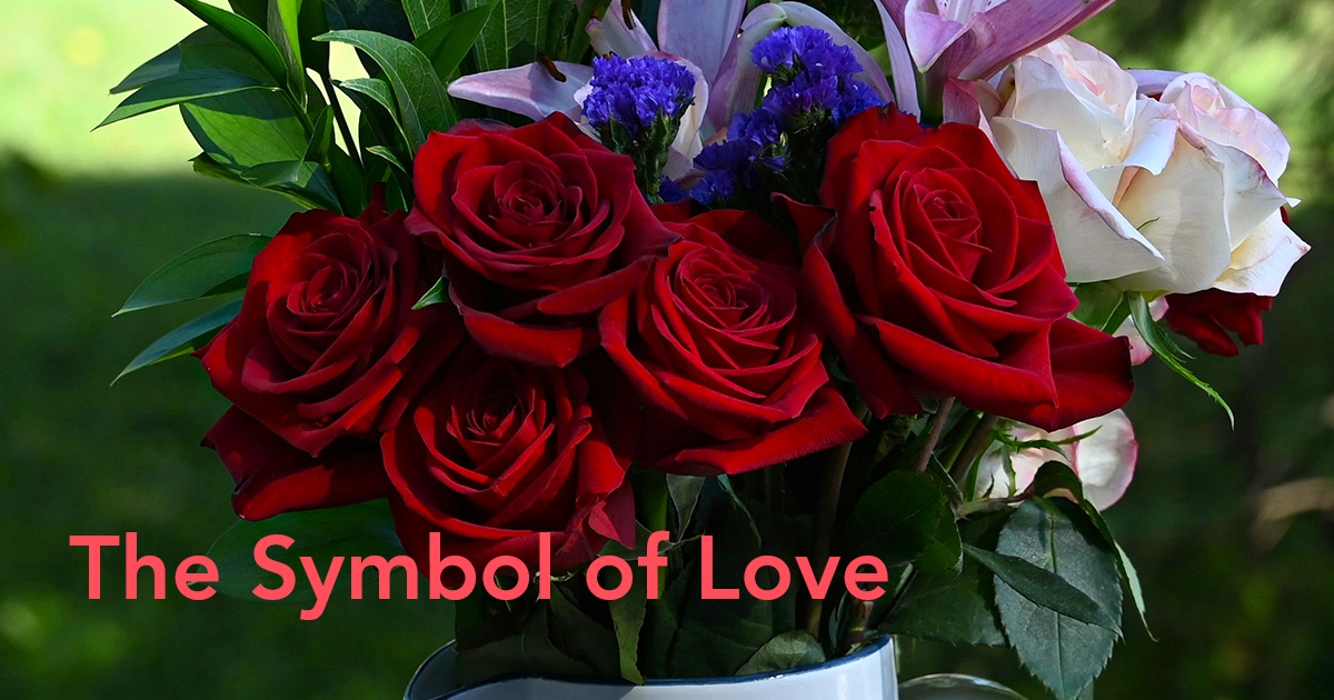 Valentine's Day Red Roses' Origin, Meaning and Symbolism