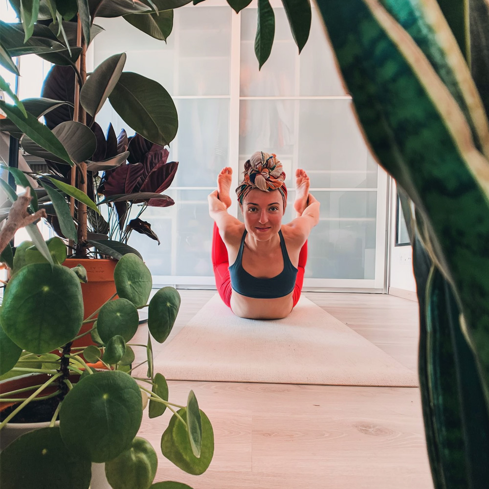 Plants for yoga rooms by colezaccariayoga